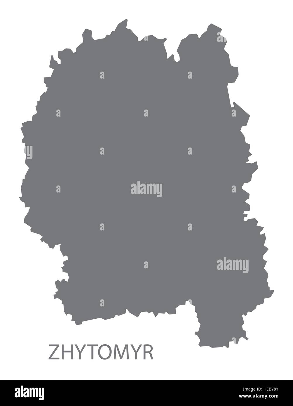 Zhytomyr Ukraine Map grey Stock Vector