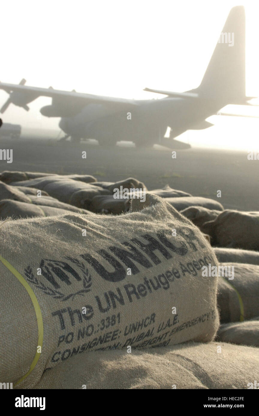 Tents, tarps and mosquito netting sit in a field in Dadaab, Kenya, Dec