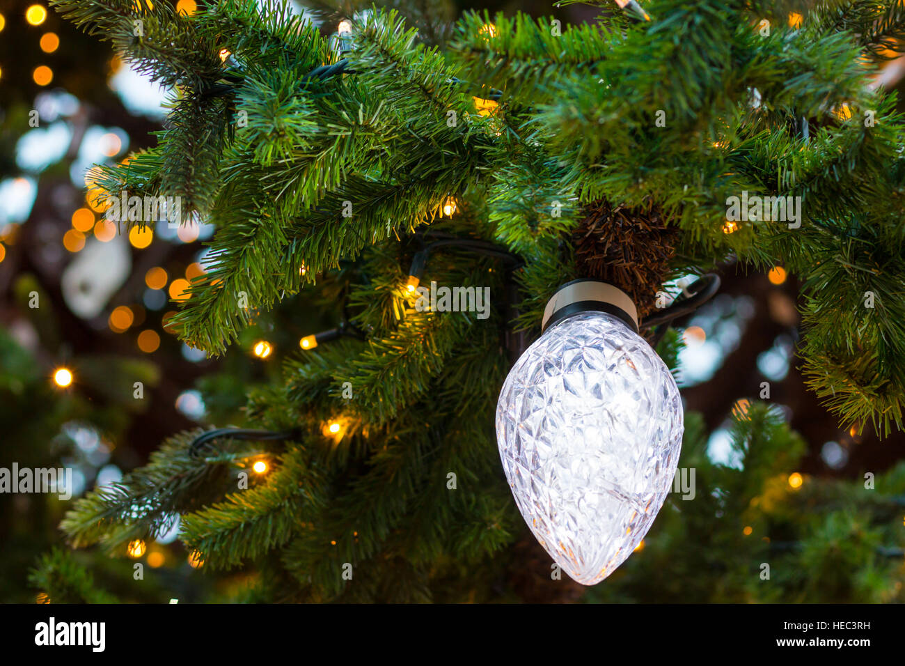 Christmas tree light bulb hi-res stock photography and images - Alamy