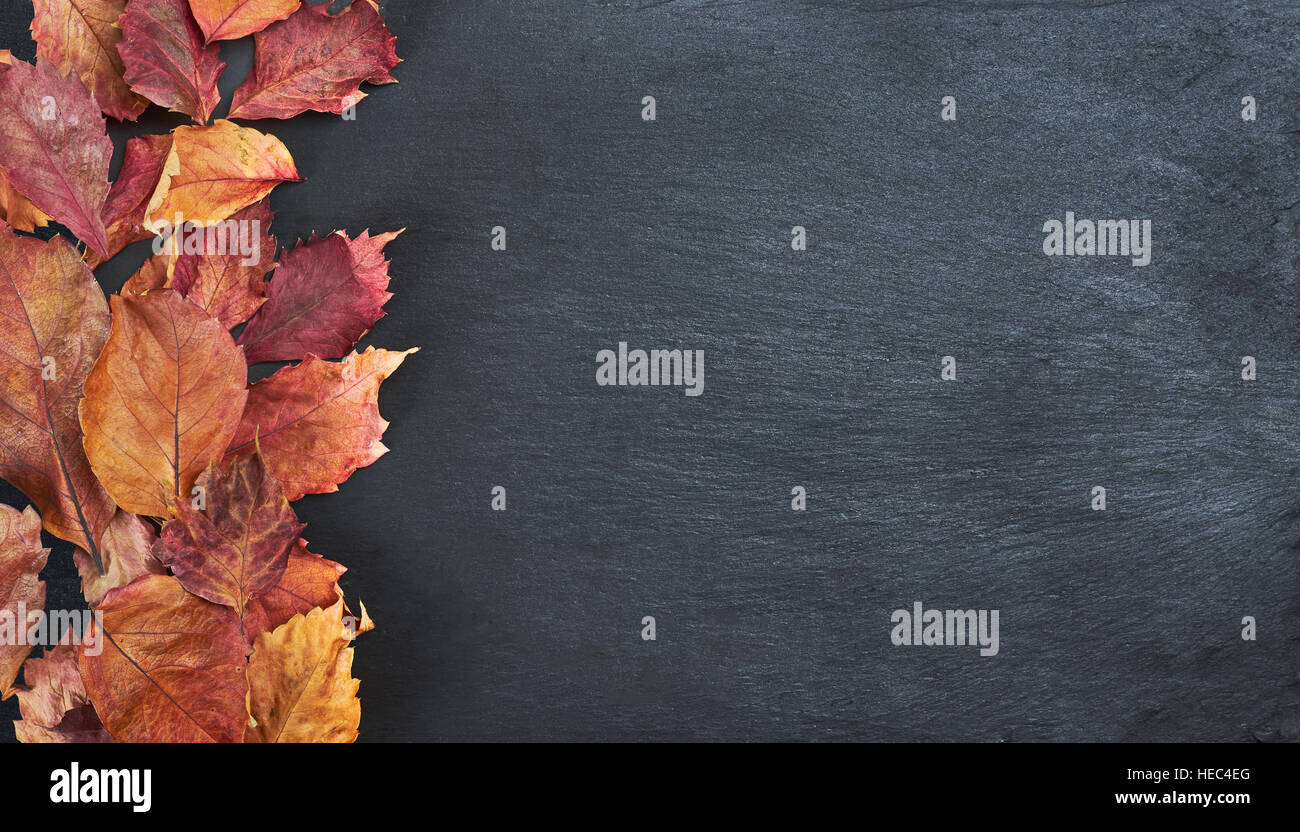 Autumn leaves on slate table - Text space on the right Stock Photo