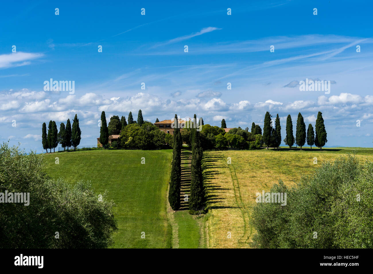 Typical green Tuscany landscape in Val d’Orcia with a farm on a hill, fields, cypresses, olive trees and blue sky Stock Photo