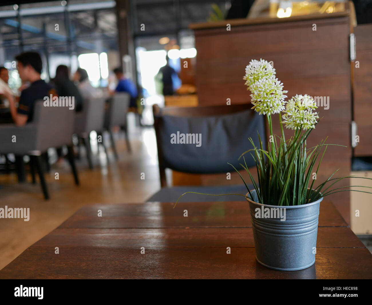 White flowers in a pot on table in Coffee shop Stock Photo