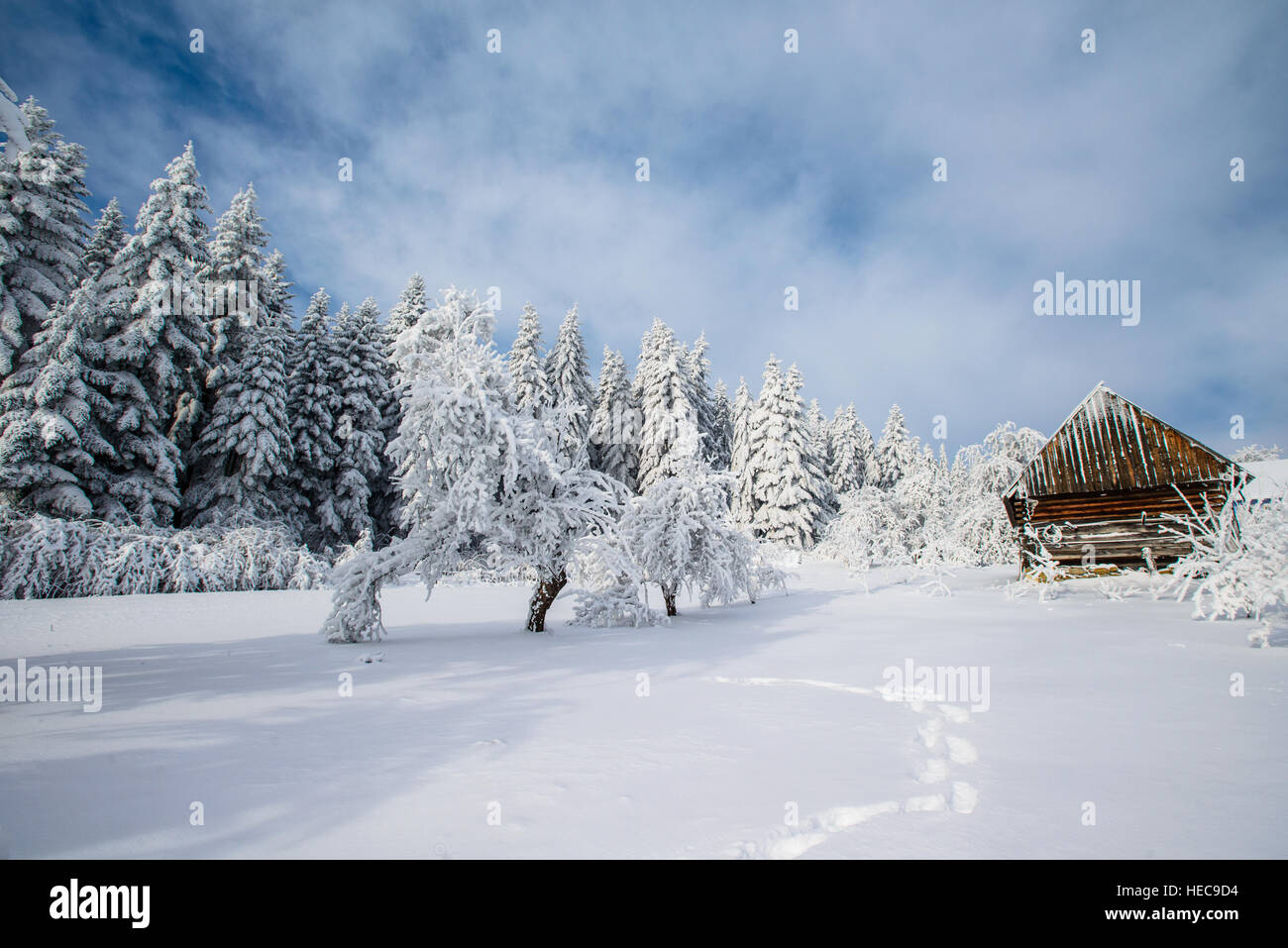 beautiful wooden house in a winter forest Stock Photo - Alamy
