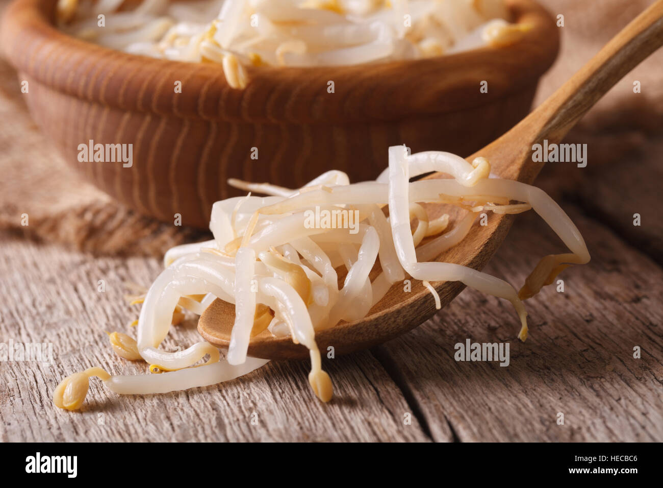 macro mung bean sprouts in a wooden spoon on the table. Horizontal Stock Photo