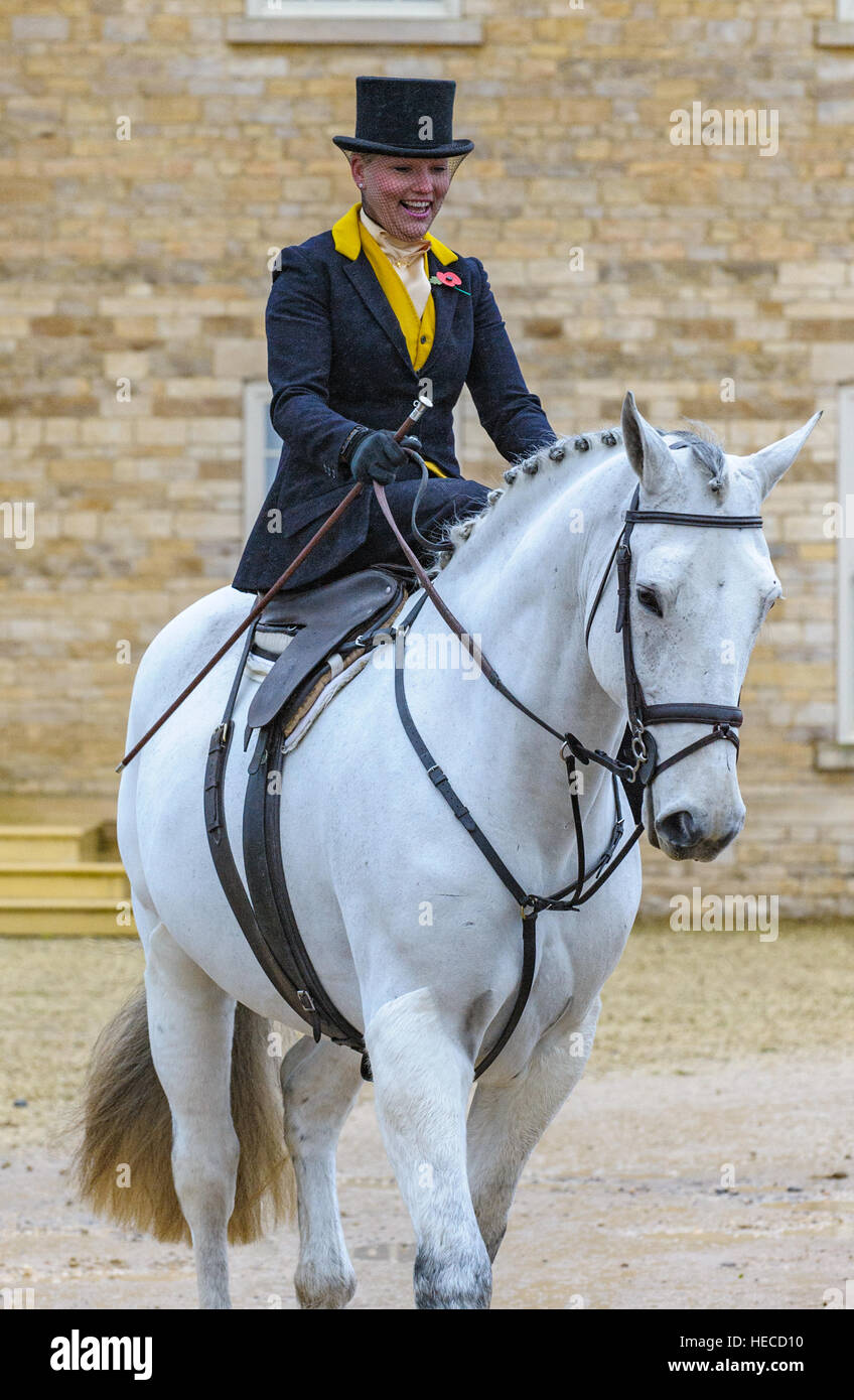 Junior Nebu Complaint Lady Riding Horse Side Saddle Genre Narrow Elite junior-nebu-complaint-lady-riding-horse-side-saddle-genre-narrow-elite