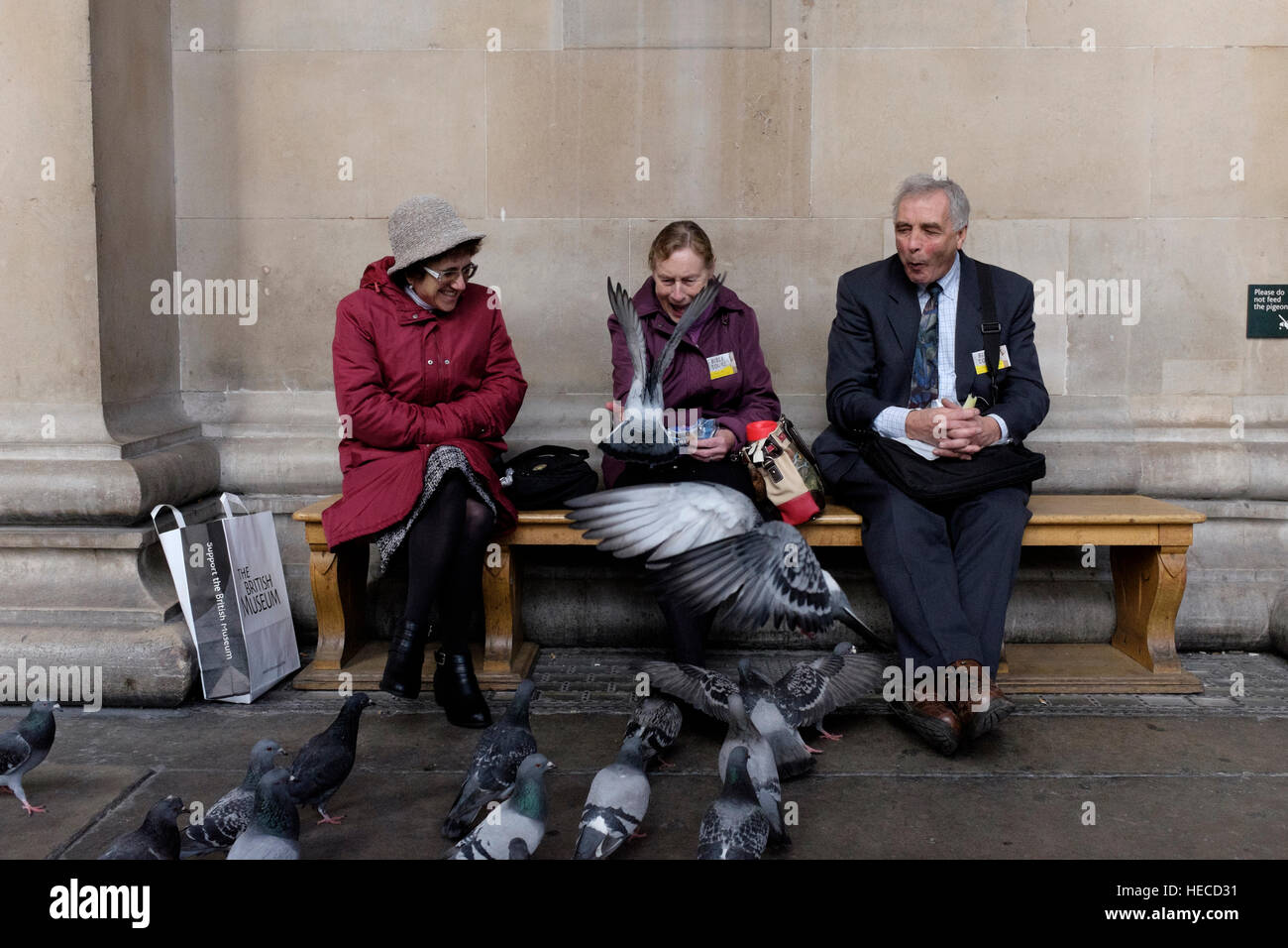Pigeons make a nuisance of themselves outside a London Museum, UK Stock Photo