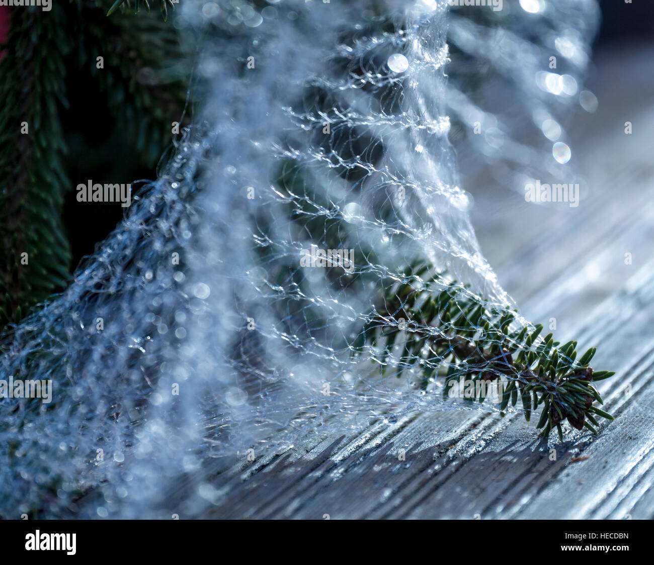 Christmas Tree in Netting Stock Photo Alamy