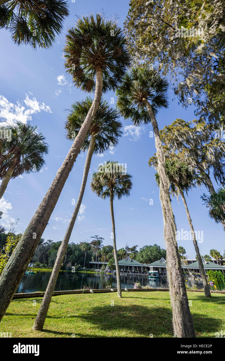 Silver Springs State Park is located in Ocala, Florida, and is home to