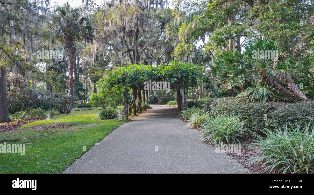 Silver Springs State Park is located in Ocala, Florida, and is home to