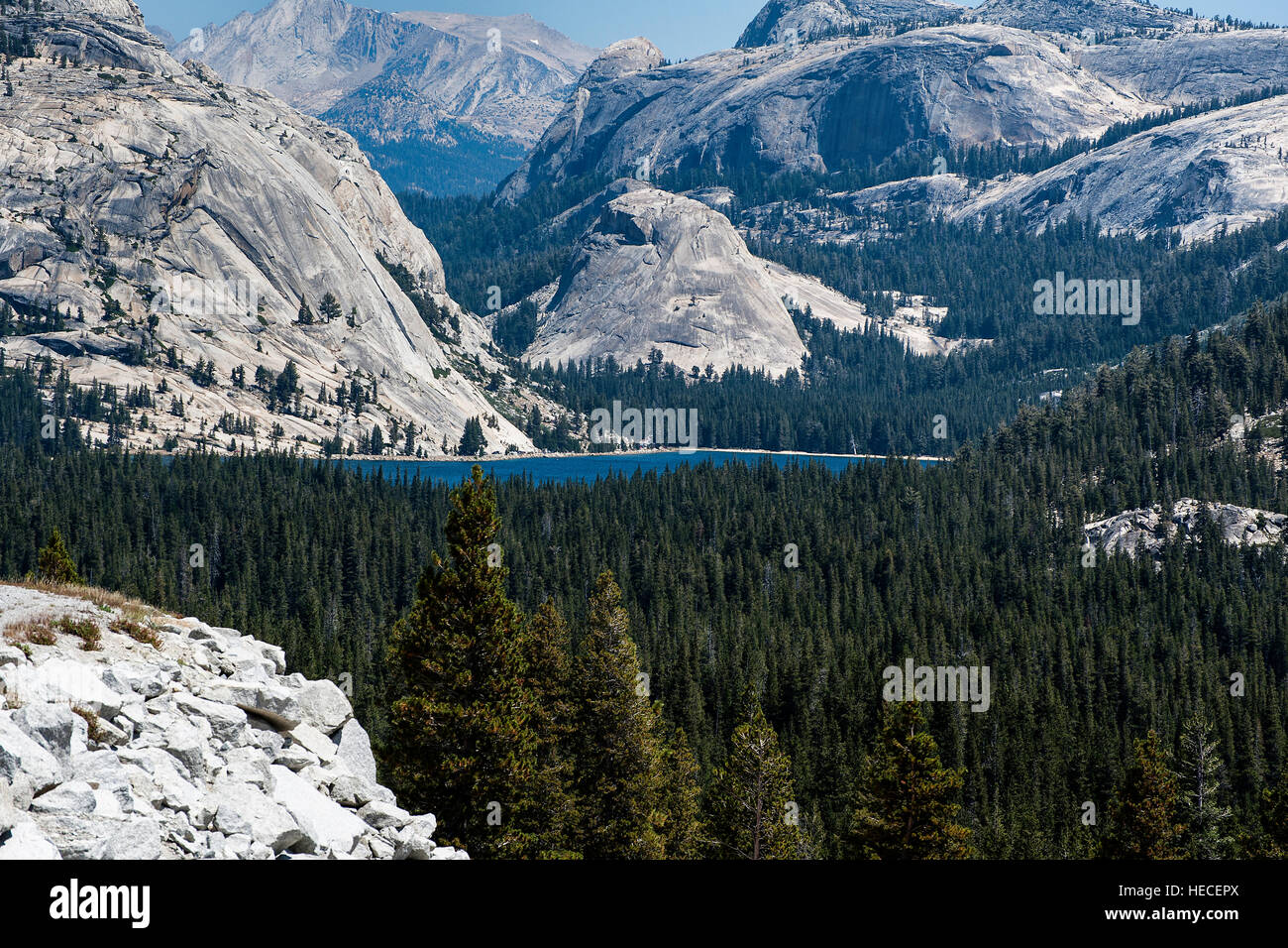 Tenaya Lake and Half dome Yosemite landscape Stock Photo