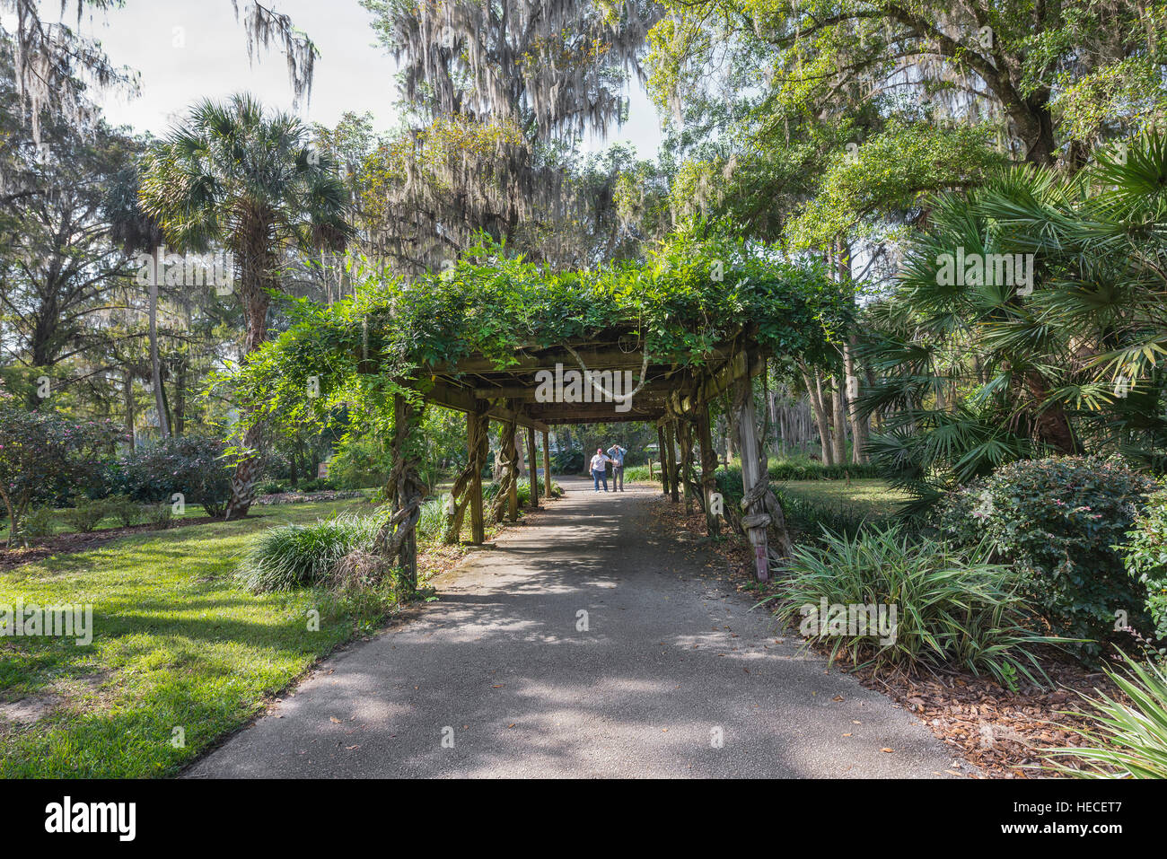Silver Springs State Park is located in Ocala, Florida, and is home to