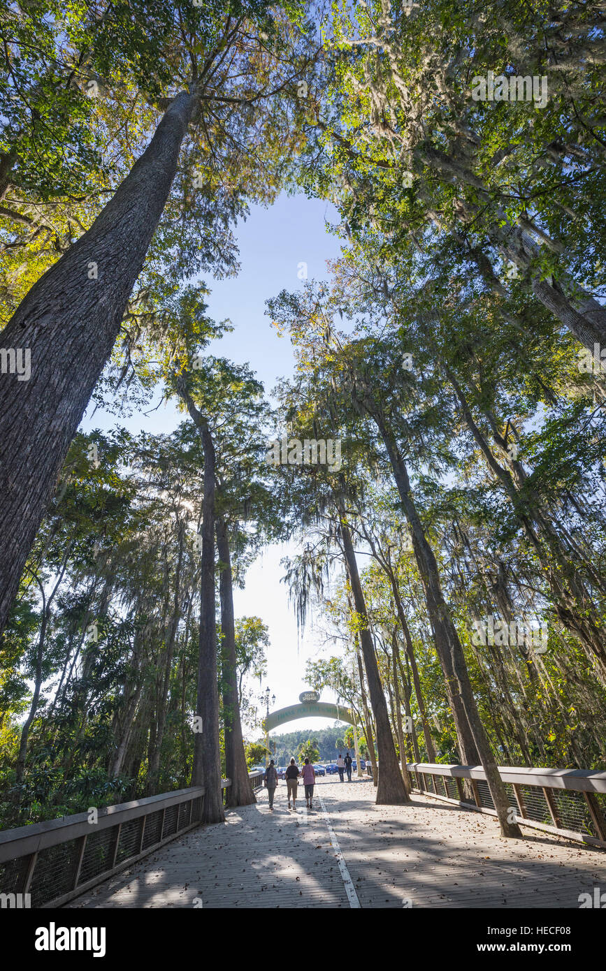 Silver Springs State Park is located in Ocala, Florida, and is home to