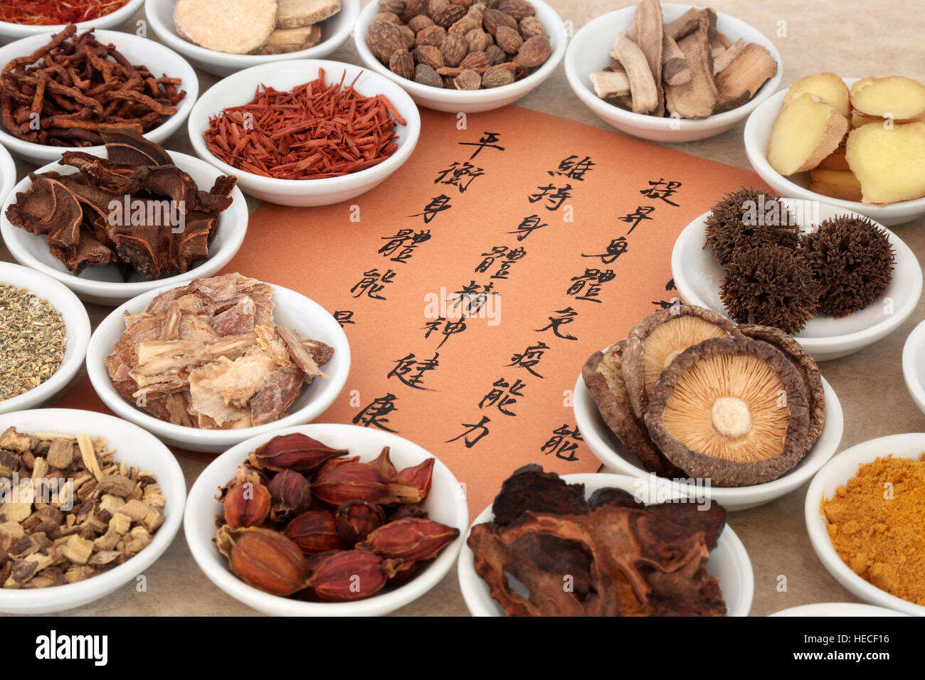 Traditional chinese herb selection used in herbal medicine in porcelain