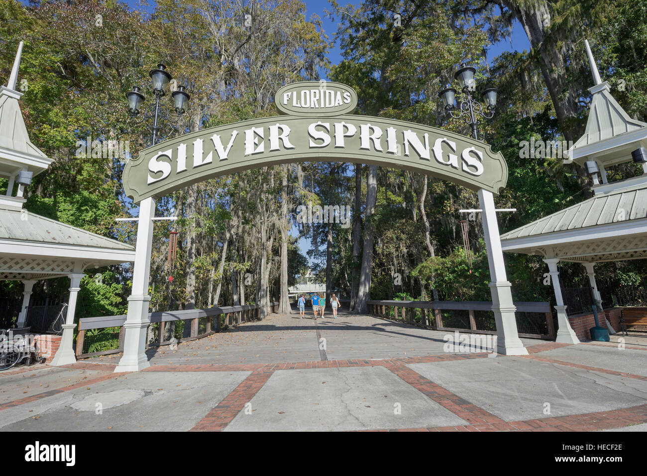 Silver Springs State Park is located in Ocala, Florida, and is home to