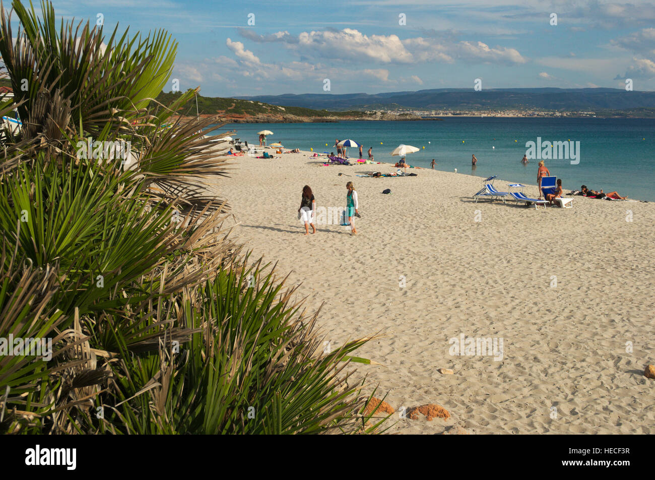 Spiaggia Delle Bombarde Beach Near Alghero Sardinia Italy Stock spiaggia-delle-bombarde-beach-near-alghero-sardinia-italy-stock