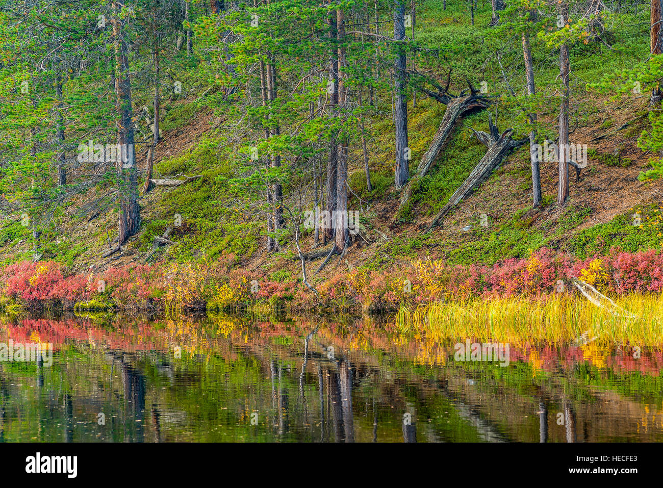 Autumn colored landscape Stock Photo