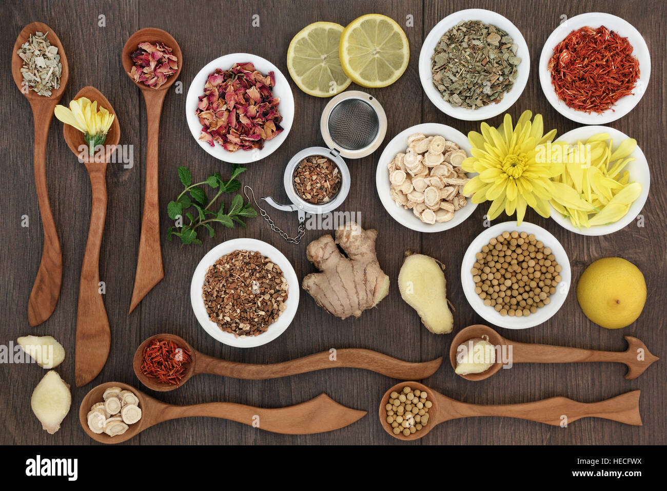 Medicinal herb teas used in chinese herbal medicine in wooden spoons