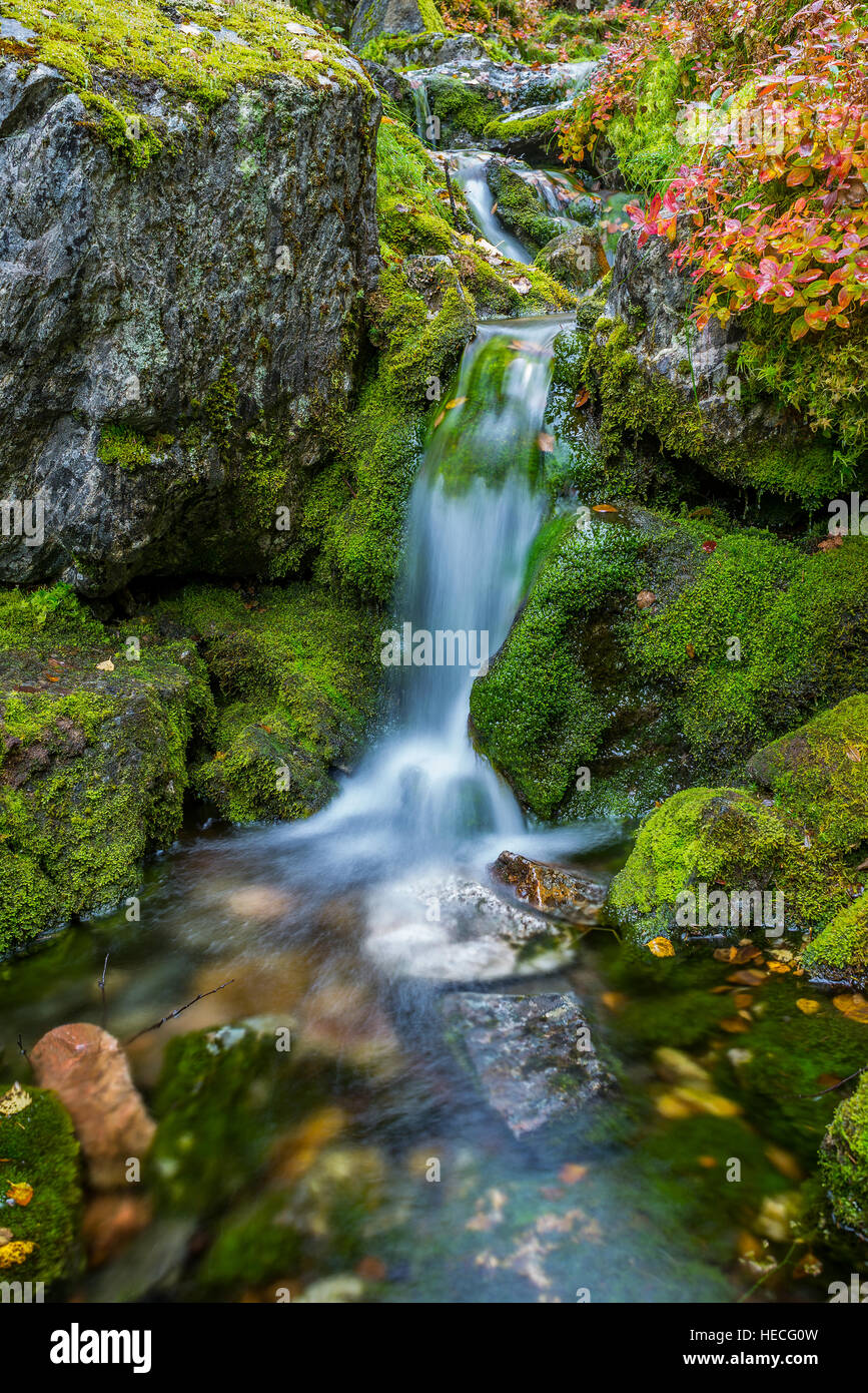 Small waterfall and mossy rocks Stock Photo