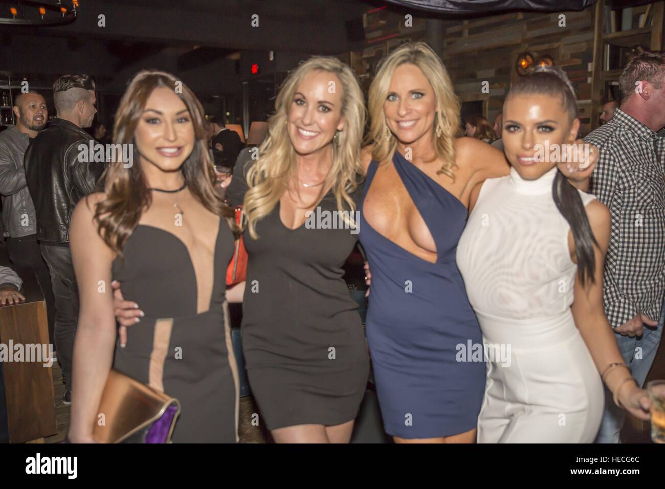 Christiana Cinn, Brandi Love and Adriana Chechik attending Rise: The Adult Talent Appreciation Gala, held at Hyde Sunset on Sunset Boulevard in Hollywood, Los Angeles, California.  Featuring: Christiana Cinn, Brandi Love, Adriana Chechik Where: Los Angele Stock Photo