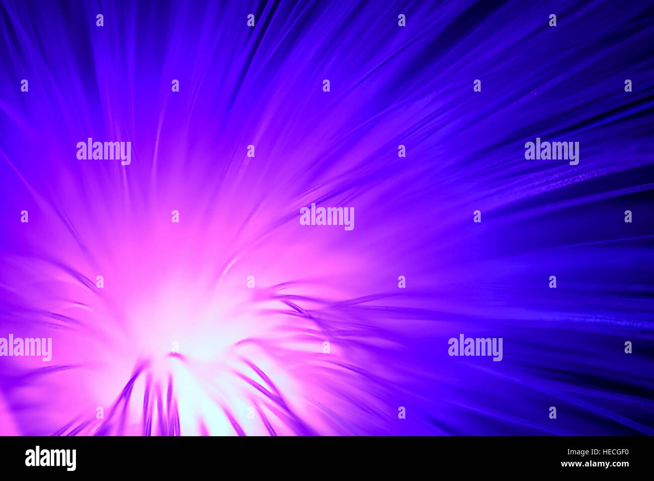 Macro view of glowing fibre optic strands with the concept of digital information or communication Stock Photo