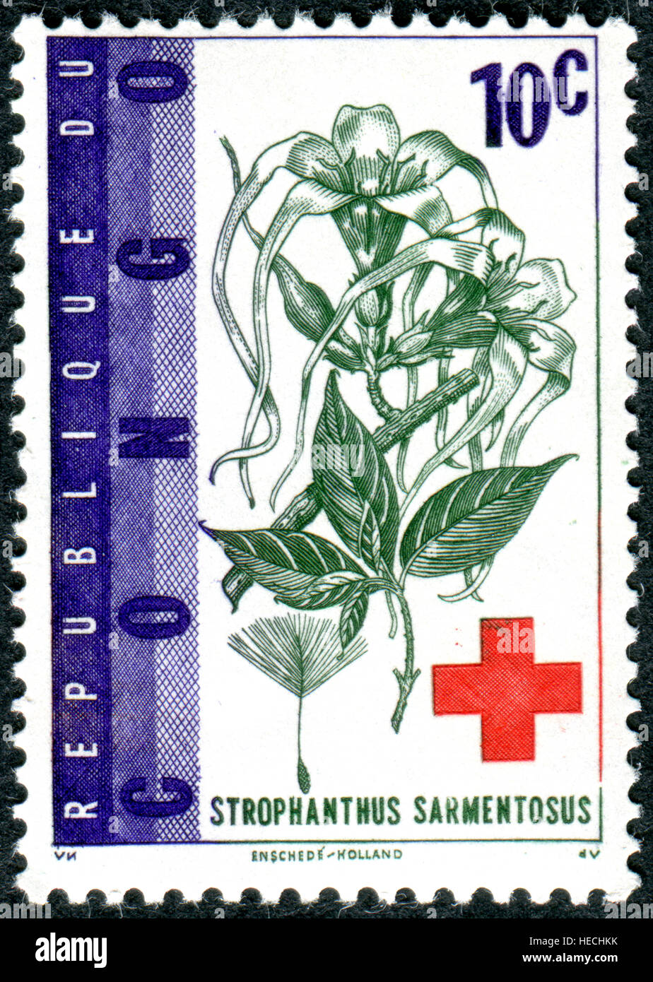 A stamp printed in Congo, devoted to the 100th anniversary of the International Red Cross, shows the Strophanthus sarmentosus Stock Photo