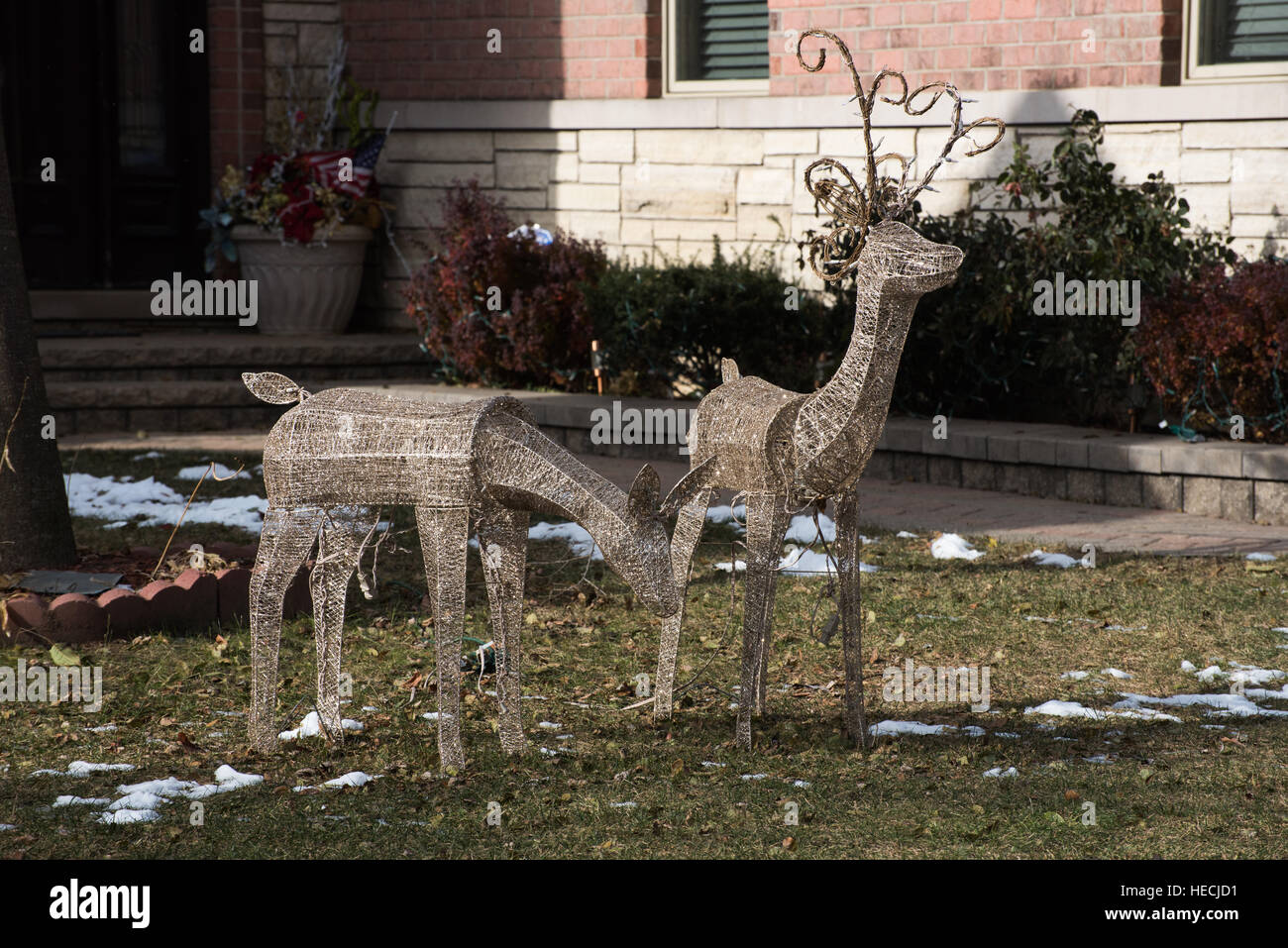 Deer outside Christmas decoration Stock Photo