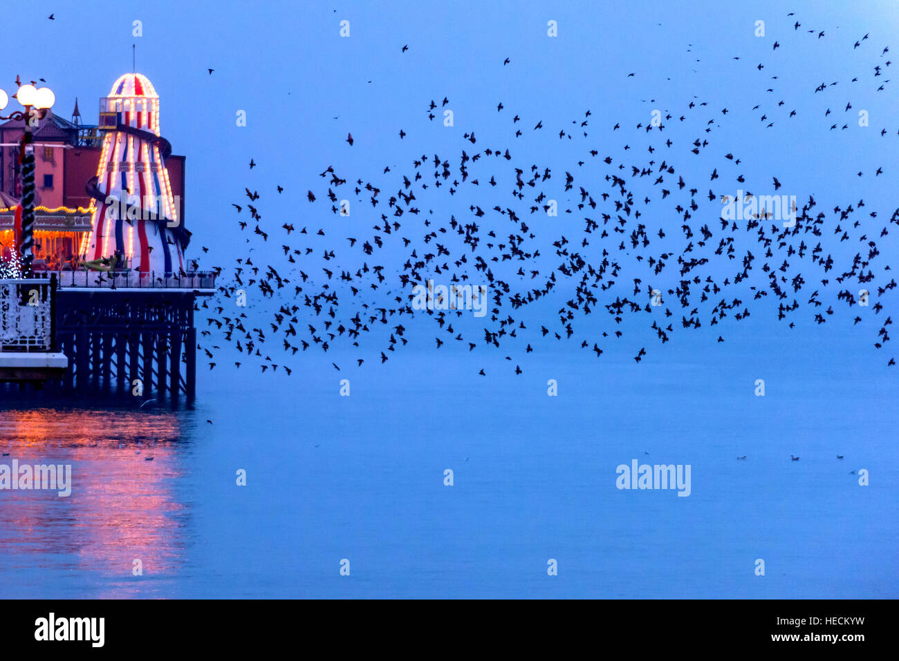 Brighton, UK. 19th Dec, 2016. Weather. Starlings murmurating around