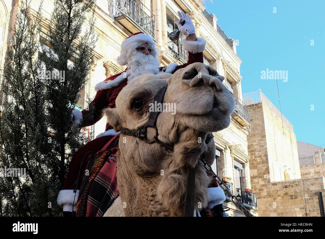 Jerusalem, Israel. 20th December, 2016. Santa Claus, or 'Baba Noel' as he is called in the local Arab language, emerges from the Latin Patriarch Road in Jerusalem's Old City riding a camel substituting for rain deer. The Jerusalem Municipality and the Jewish National Fund distributed specially grown Cyprus Cedar Christmas trees to the Christian population at the Jaffa Gate. Credit: Nir Alon/Alamy Live News Stock Photo