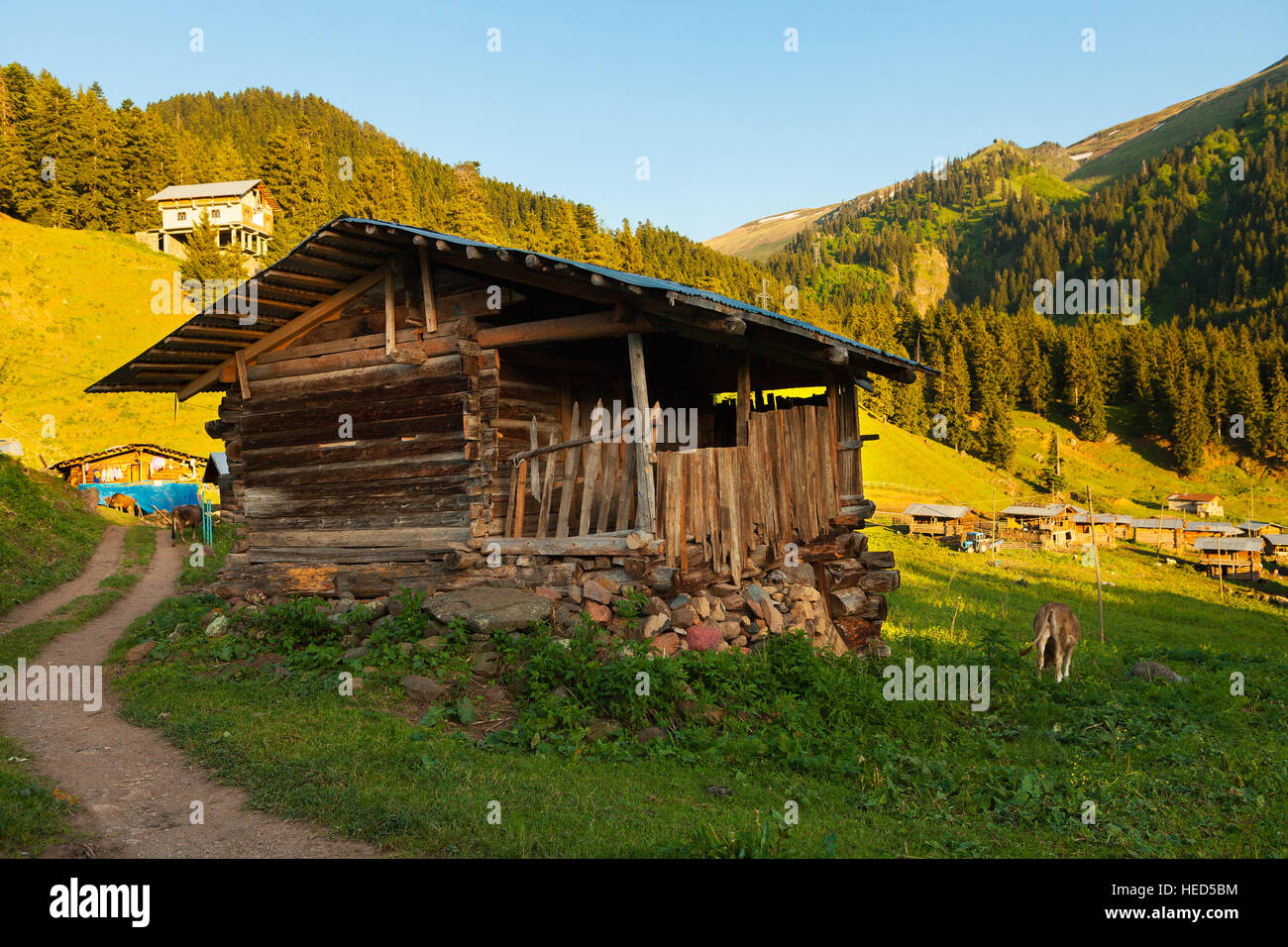 Beautiful green landscape in spring time and rural areas of north east of Turkey country, Savsat, Artvin Stock Photo