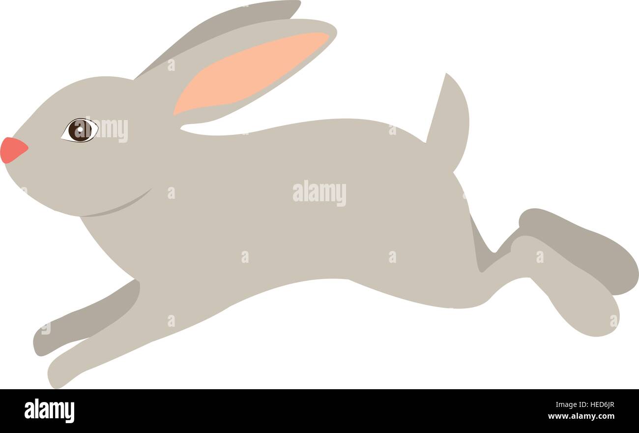 Rabbit cartoon icon. Animal cute life nature theme. Isolated design ...