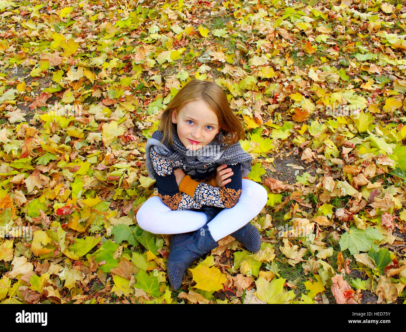 girl sits on the yellow leaves in the Autumn park Stock Photo - Alamy