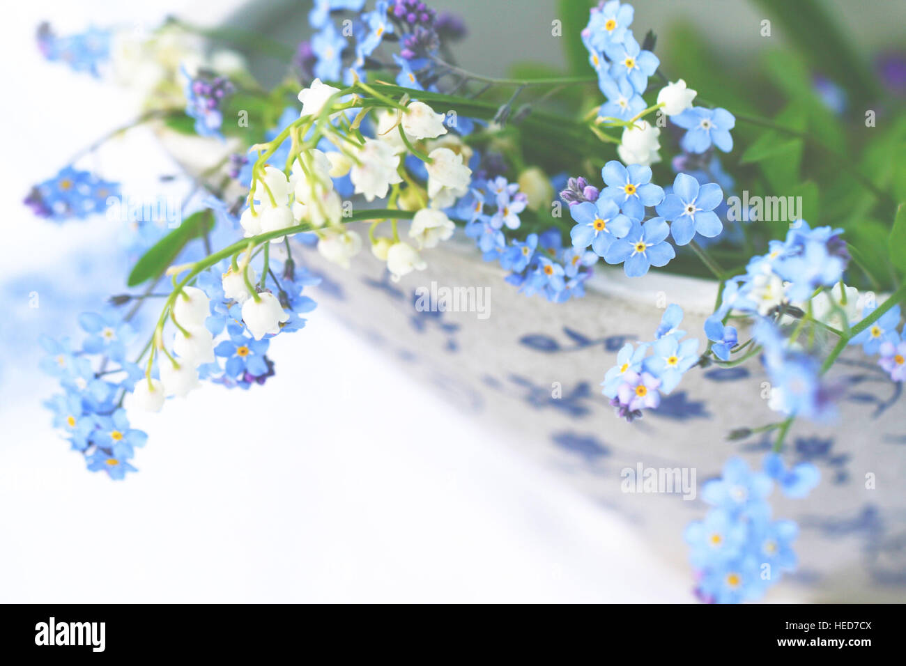 background,beautiful,blooming,blue,blue flowers,botanical,bowl,closeup