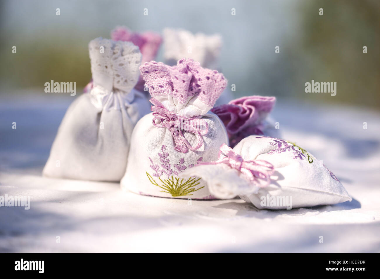 backs,bow tie,clean,colored,dried,feminity,floral,fragrance,green,half shade,horizontal,lace,laundry,lavender,packet,pastel,pastelcolors,pastelcoloured,pretty,purple,still life,sunshine,table,white Stock Photo