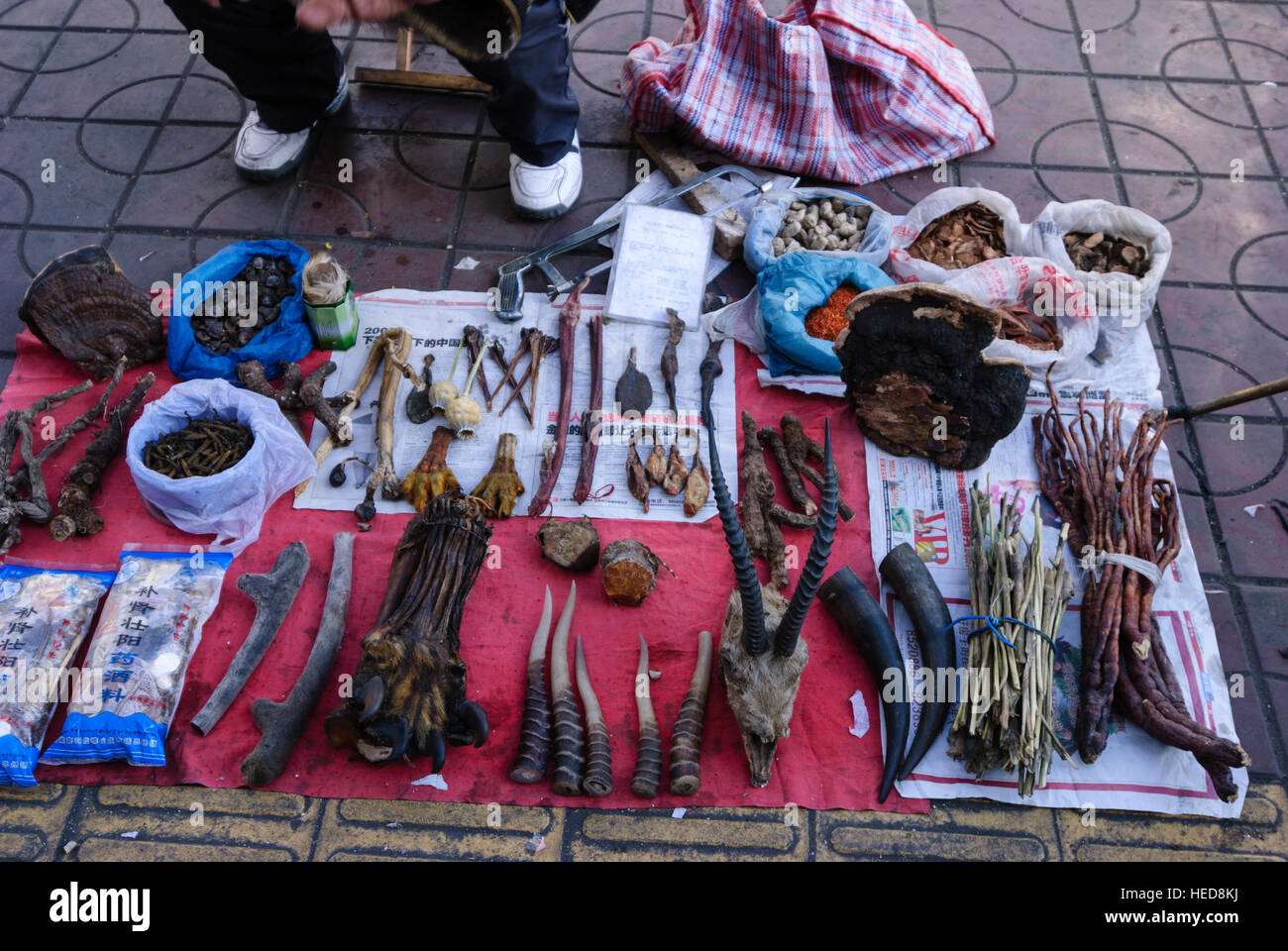 Lanzhou: Sale of parts of protected animals (bear paws and other) by Tibetan traders, Gansu, China Stock Photo