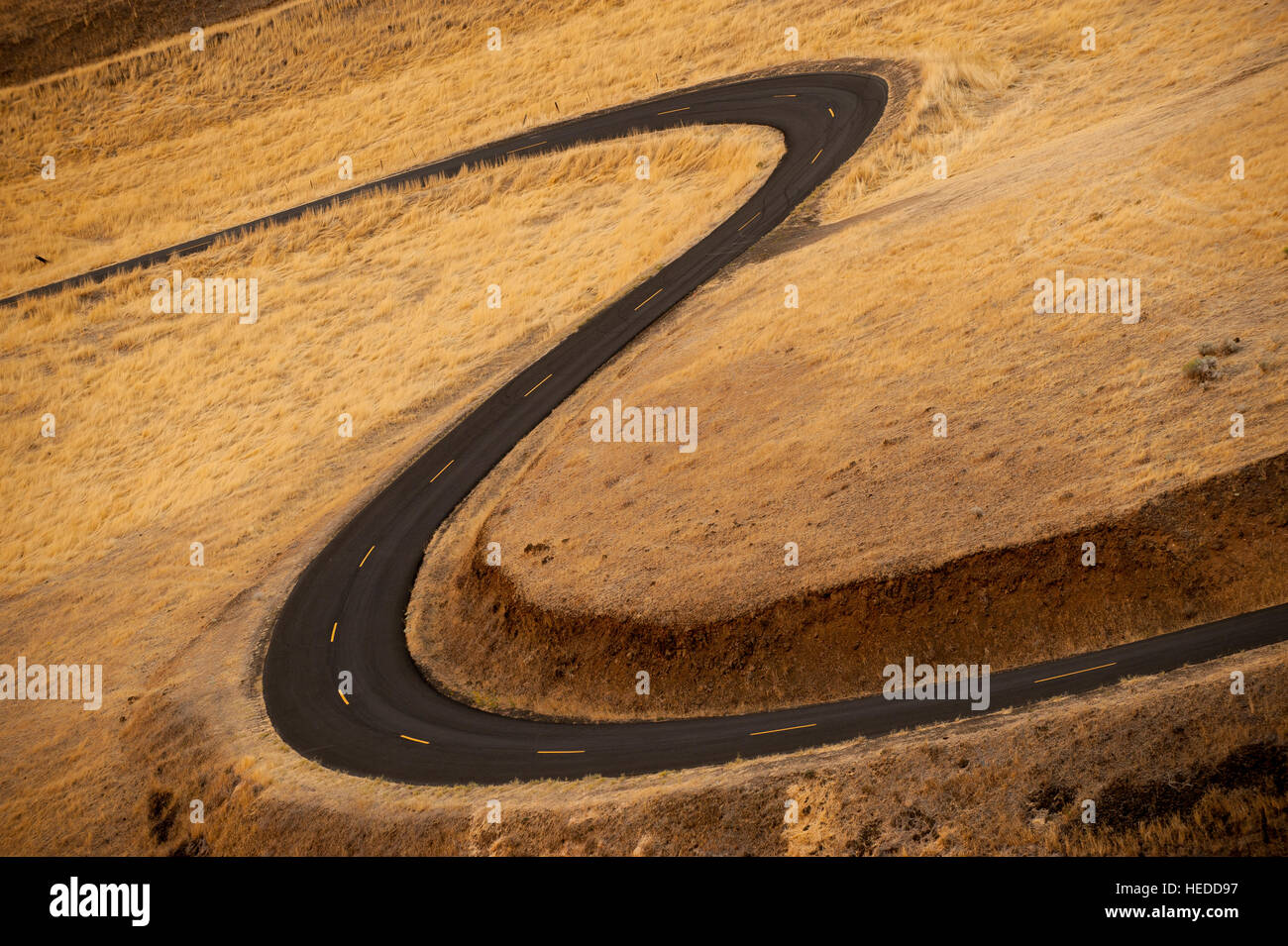 An empty, curving two lane blacktop road in the high desert is lined with bright yellow stripes in warm afternoon light. Stock Photo
