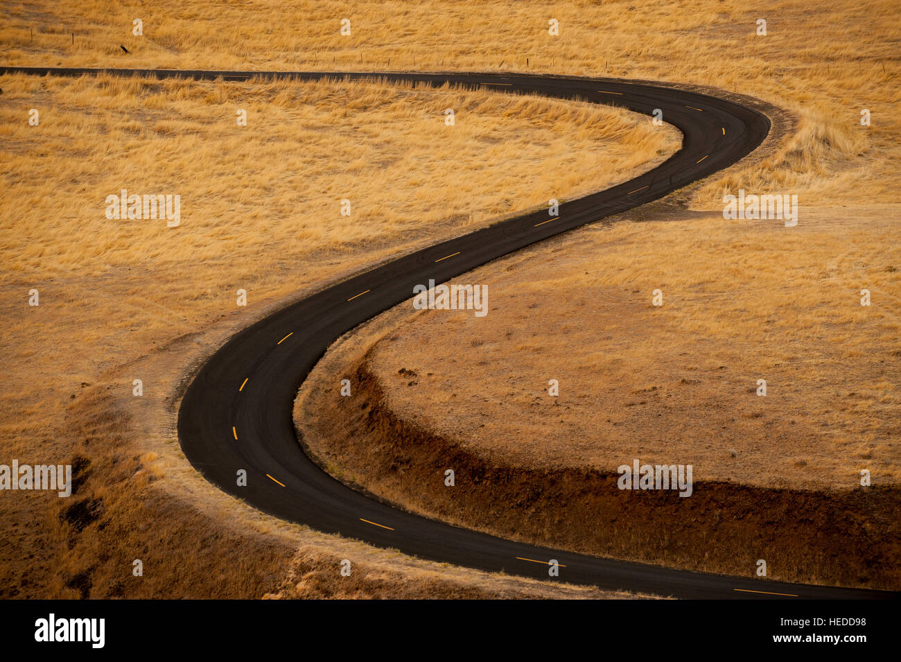 An empty, curving two lane blacktop road in the high desert is lined with bright yellow stripes in warm afternoon light. Stock Photo