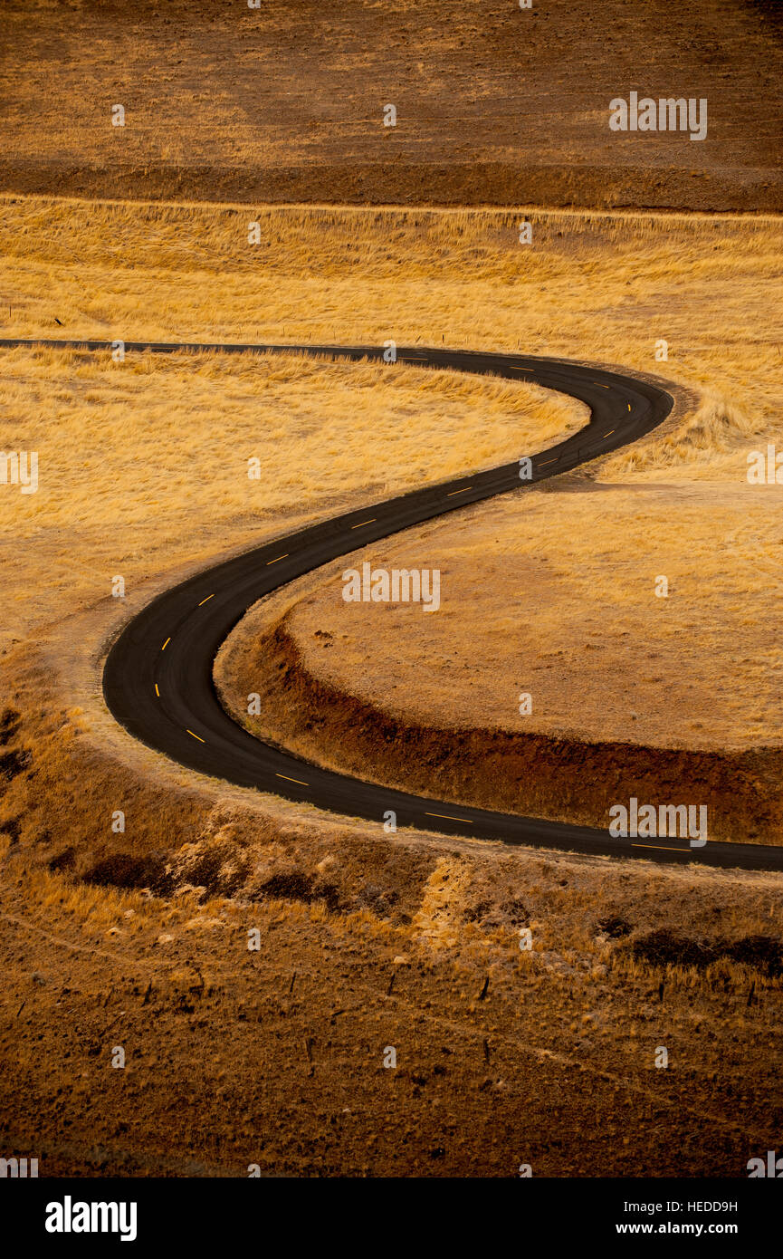 An empty, curving two lane blacktop road in the high desert is lined with bright yellow stripes in warm afternoon light. Stock Photo