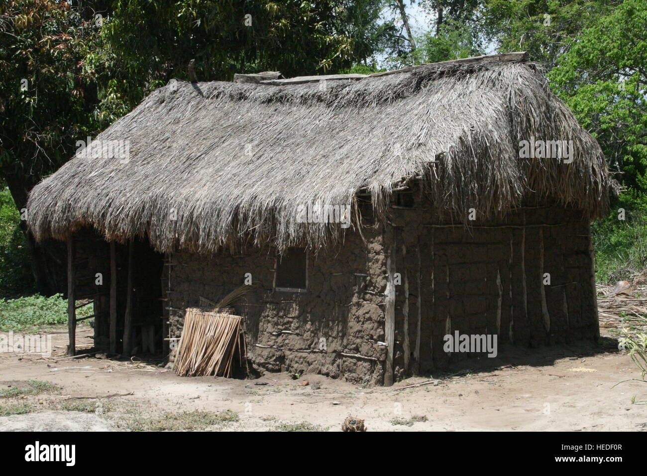 Mkoko Agricultural Village, Tanzania, Africa Stock Photo - Alamy