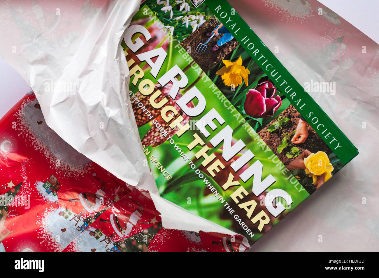 Unwrapping garden Christmas present - Royal Horticultural Society gardening through the year book Stock Photo