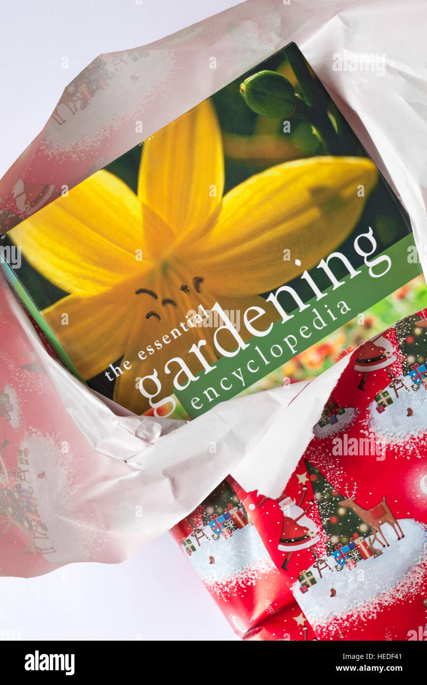 Unwrapping garden Christmas present - the essential gardening encyclopedia book Stock Photo
