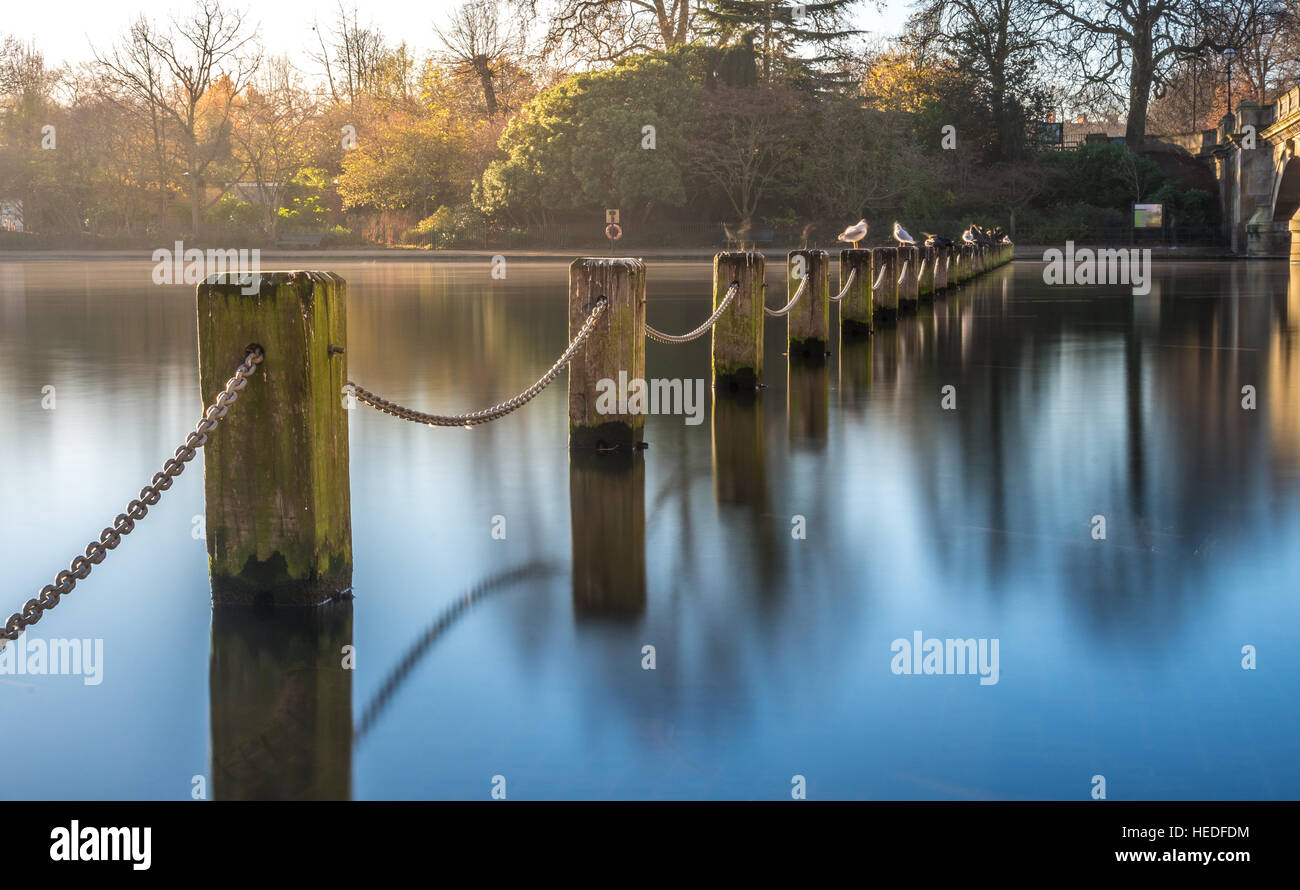 Post and chain fence next to serpentine bridge at hyde park , London, UK Stock Photo