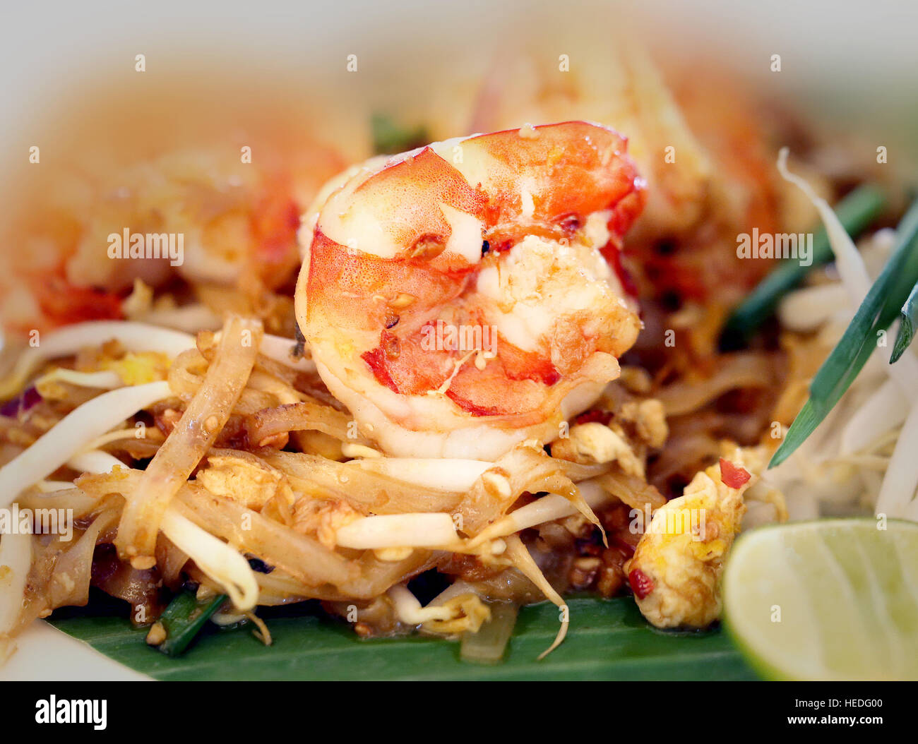 Photos macro of delicious Thai noodle with shrimp Stock Photo