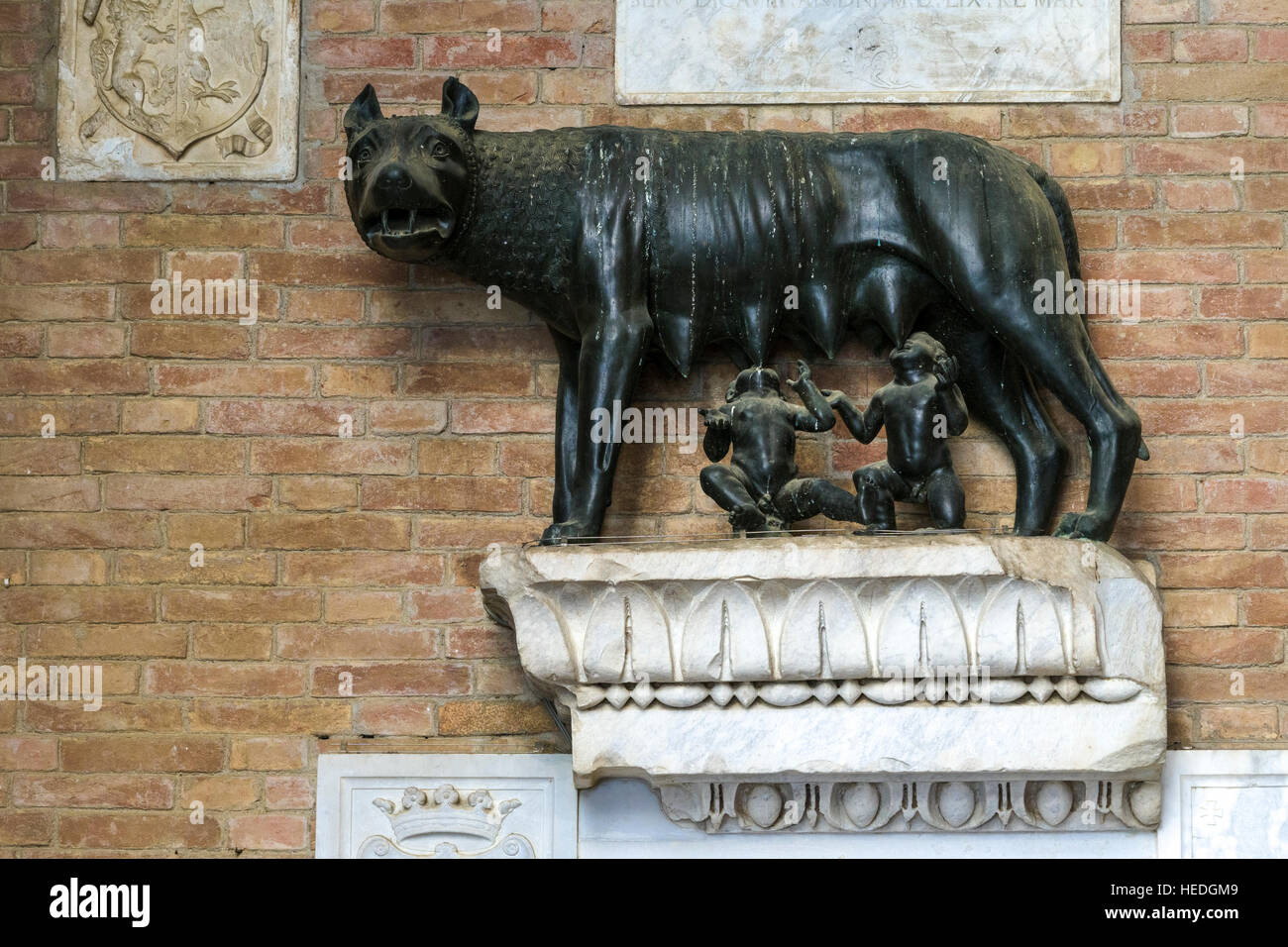 The sculpture of the Capitoline Wolf, breastfeeding the twins Romulus and Remus, inside the Palazzo Pubblico Stock Photo