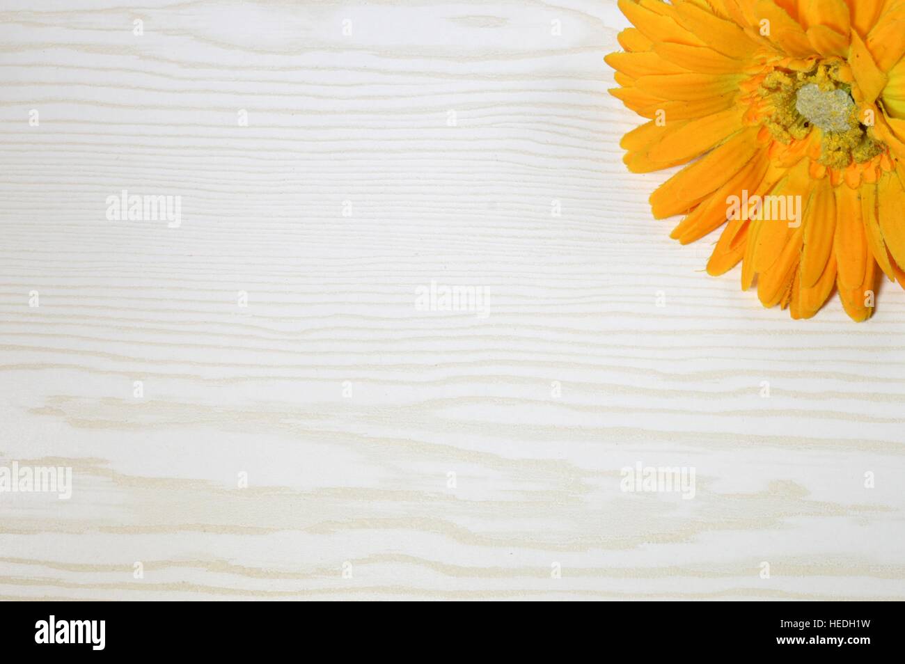 Cornflower colours hires stock photography and images Alamy