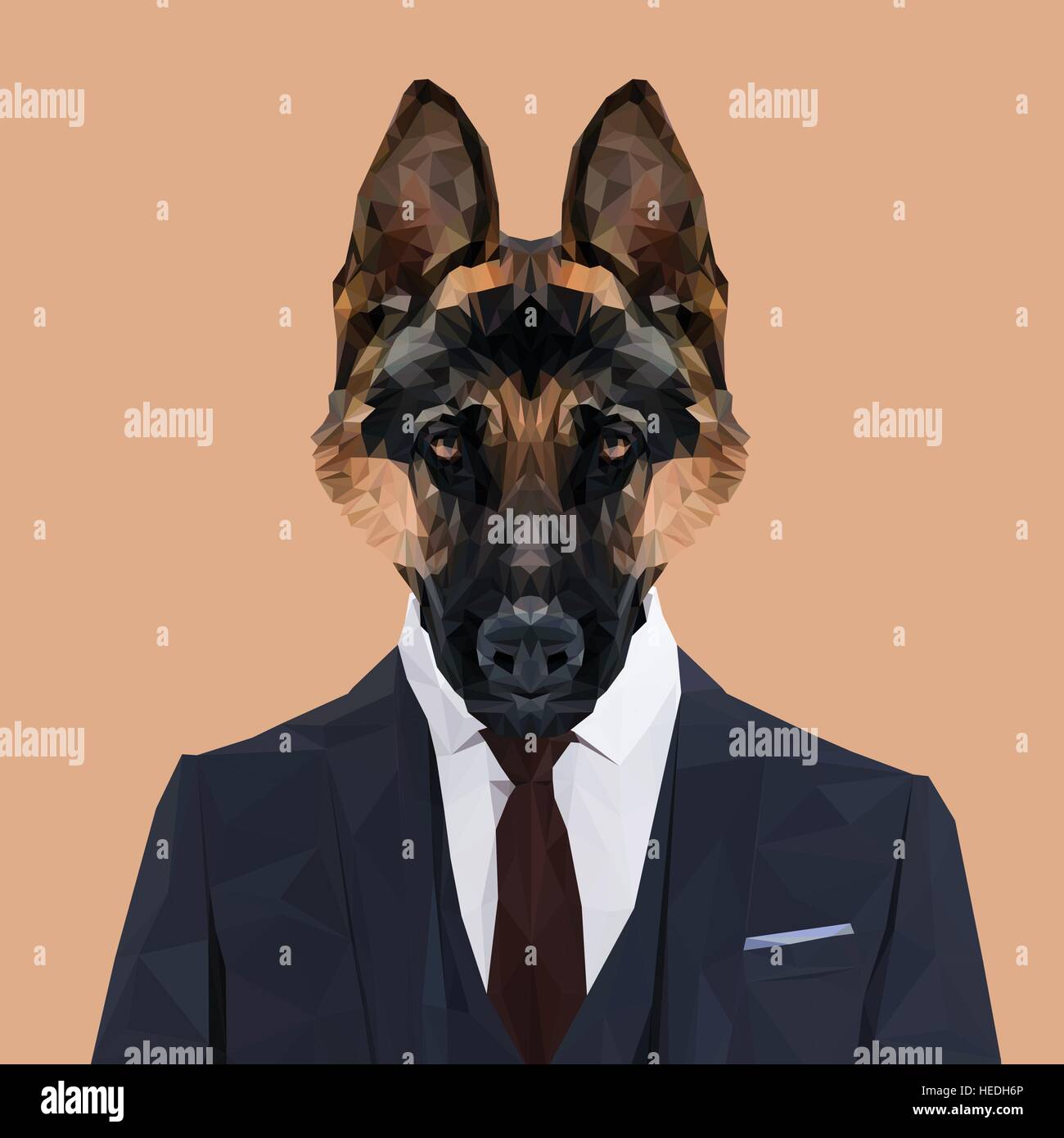 German top shepherd dress
