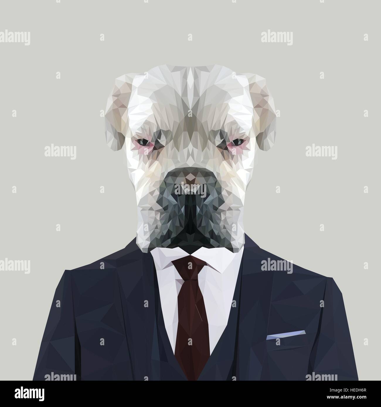White Albino Boxer dog animal dressed up in navy blue suit with red tie. Business man. Vector illustration. Stock Vector