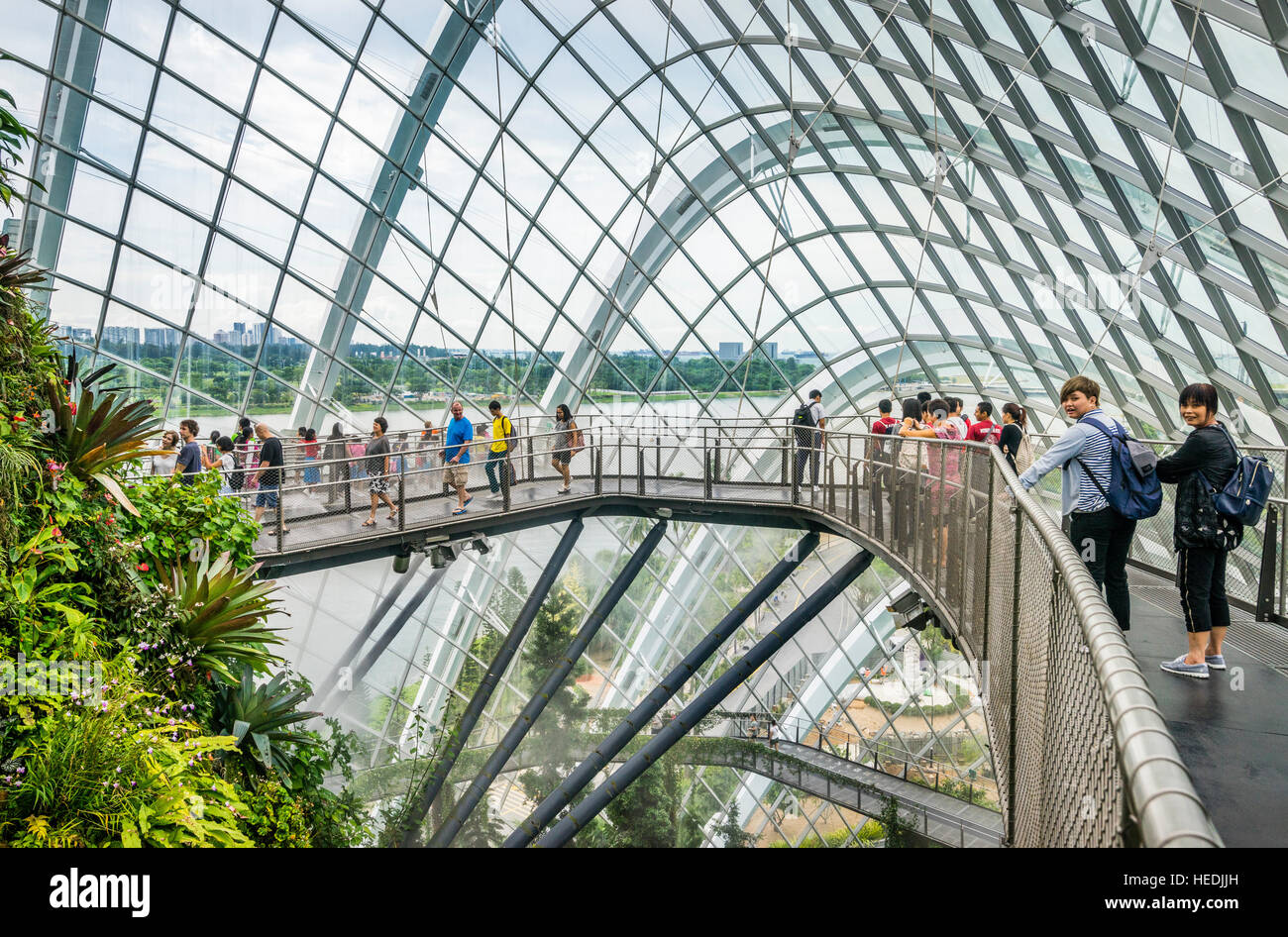 Singapore, Gardens by the Bay, Cloud Walk on top of the lush vegetation mountain within the giant Cloud Forest  green house Stock Photo