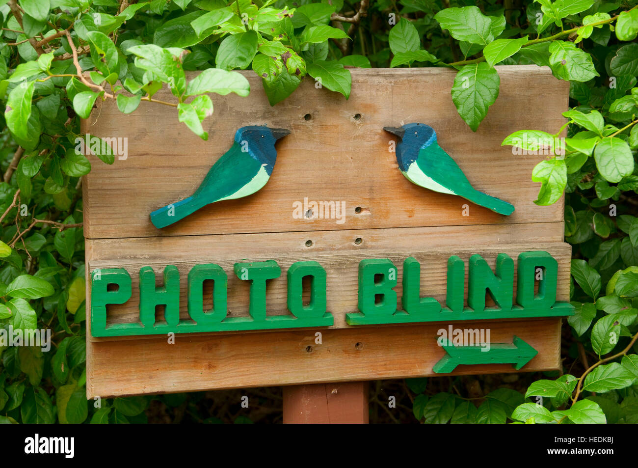 Bird Blind sign, Laguna Atascosa National Wildlife Refuge, Texas Stock Photo