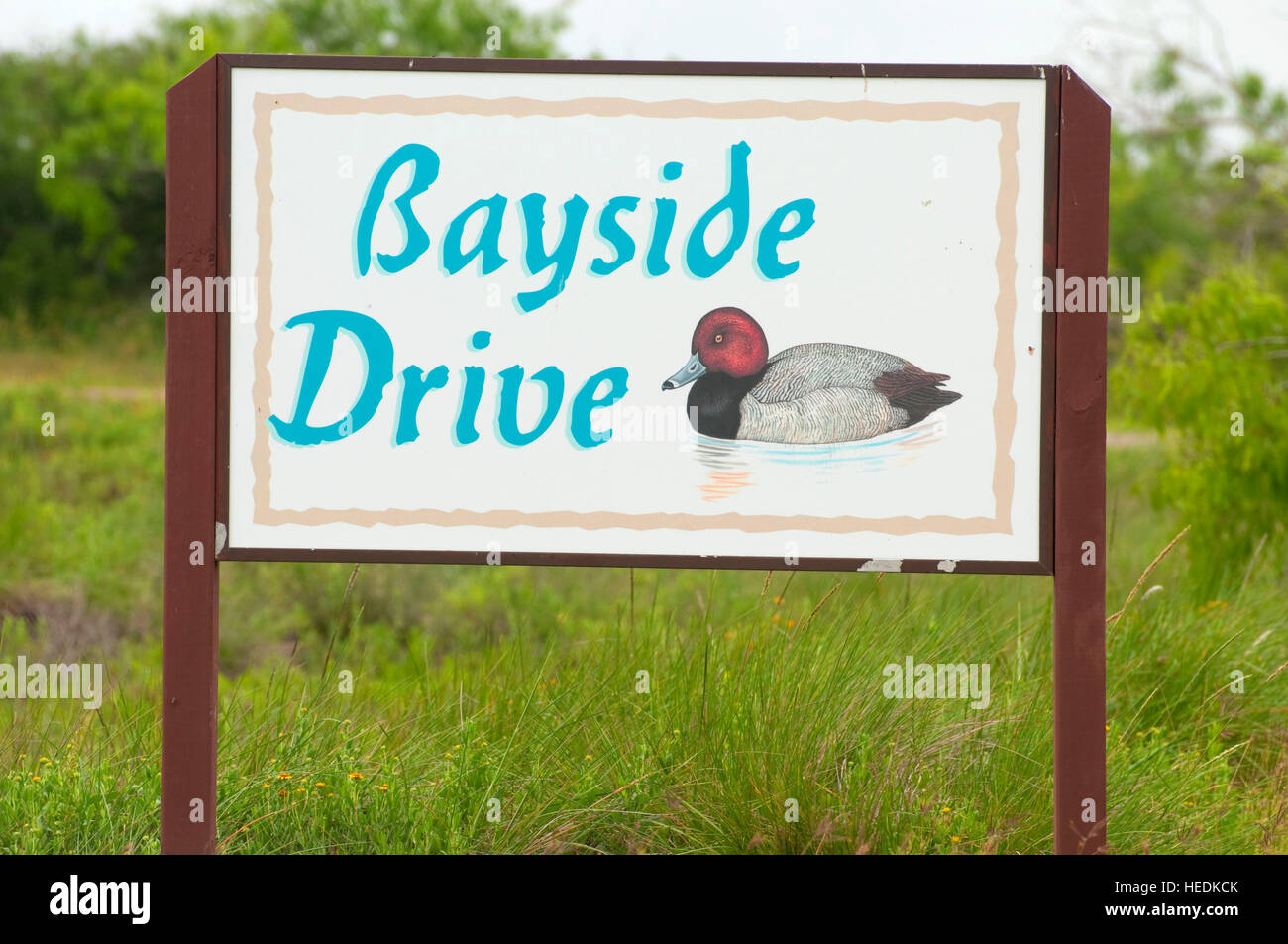 Bayside Drive sign, Laguna Atascosa National Wildlife Refuge, Texas