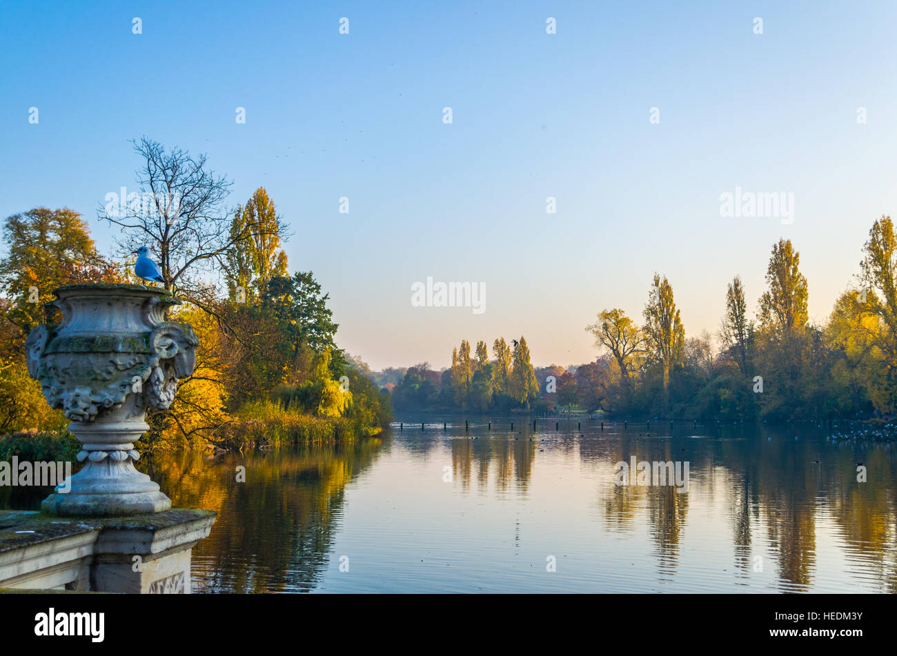 A bird takes in the autumnal sight of the Serpentine Lake at Hyde Park in London Stock Photo